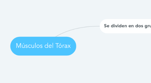 Mind Map: Músculos del Tórax