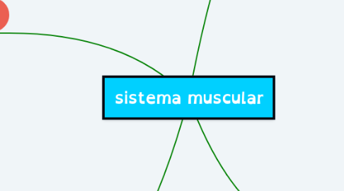 Mind Map: sistema muscular