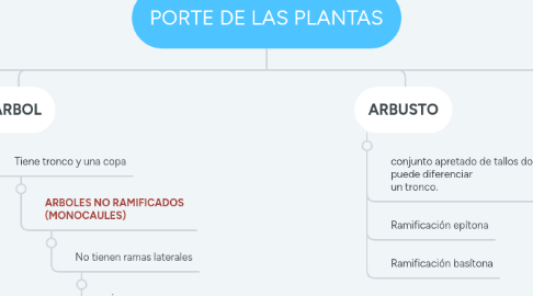 Mind Map: PORTE DE LAS PLANTAS