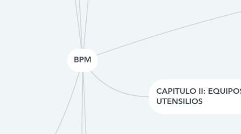 Mind Map: BPM