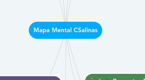 Mind Map: Mapa Mental CSalinas