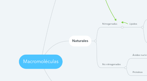 Mind Map: Macromoléculas