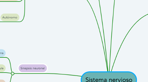 Mind Map: Sistema nervioso