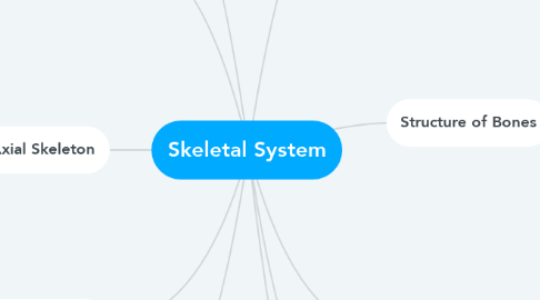 Mind Map: Skeletal System