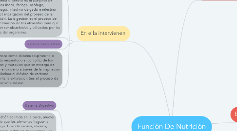 Mind Map: Función De Nutrición