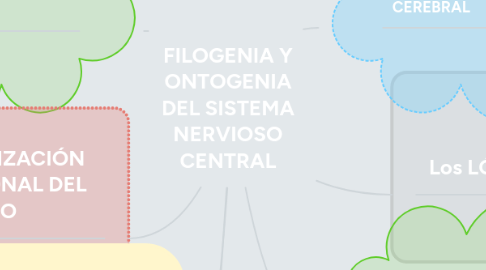 Mind Map: FILOGENIA Y ONTOGENIA DEL SISTEMA NERVIOSO CENTRAL