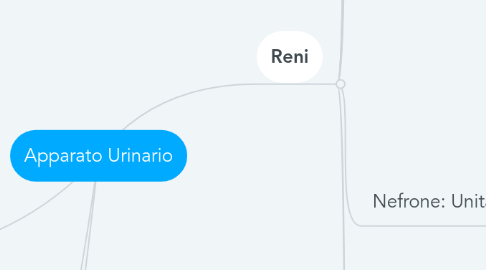 Mind Map: Apparato Urinario