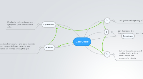 Mind Map: Cell Cycle