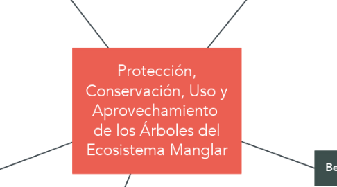 Mind Map: Protección, Conservación, Uso y Aprovechamiento  de los Árboles del Ecosistema Manglar
