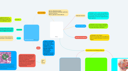 Mind Map: Glândulas Salivares