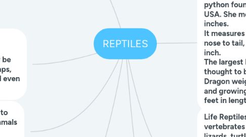 Mind Map: REPTILES