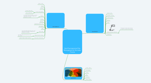 Mind Map: Non-Pharmaceutical Pain Management for the Labor Process