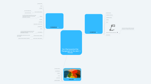 Mind Map: Non-Pharmaceutical Pain Management for the Labor Process