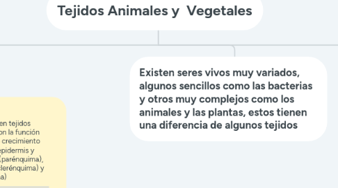 Mind Map: Tejidos Animales y Vegetales