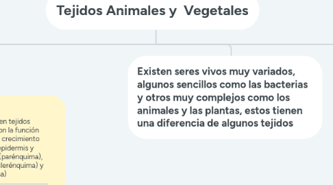 Mind Map: Tejidos Animales y  Vegetales