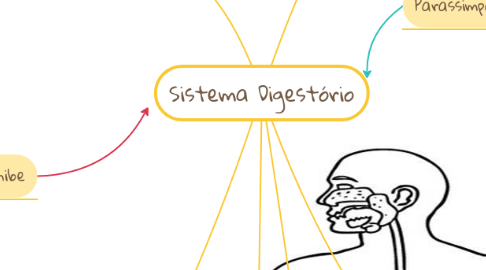 Mind Map: Sistema Digestório