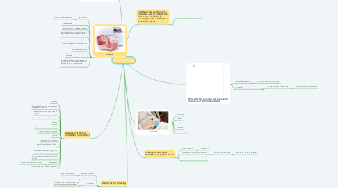 Mind Map: Fetal Monitoring