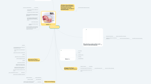 Mind Map: Fetal Monitoring