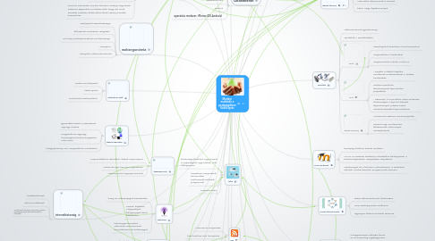 Mind Map: Modern eszközök a pedagógiában Kókai Ignác