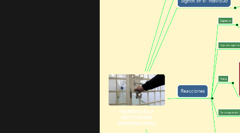 Mind Map: INGRESO A LA INSTITUCION PENITENCIARIA