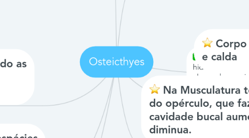 Mind Map: Osteicthyes