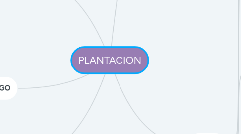 Mind Map: PLANTACION