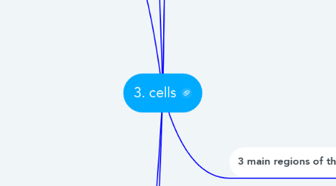 Mind Map: 3. cells