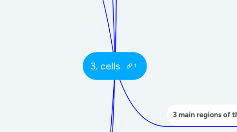 Mind Map: 3. cells