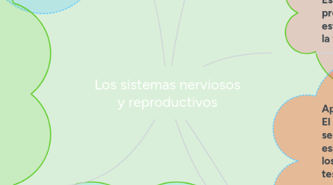 Mind Map: Los sistemas nerviosos y reproductivos