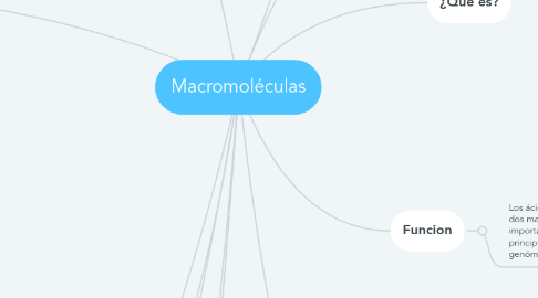 Mind Map: Macromoléculas