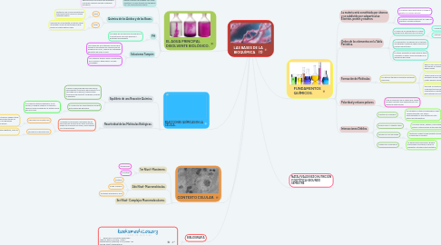 Mind Map: LAS BASES DE LA BIOQUÍMICA (1)