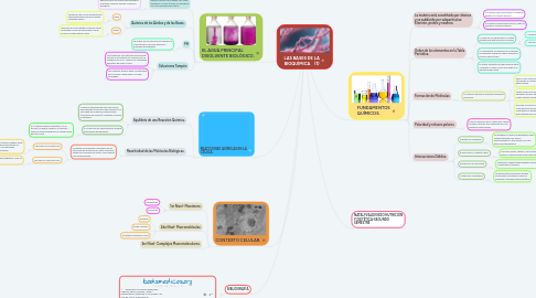 Mind Map: LAS BASES DE LA BIOQUÍMICA    (1)