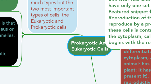 Mind Map: Prokaryotic And Eukaryotic Cells