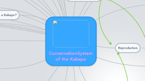 Mind Map: ConservationSystem of the Kakapo