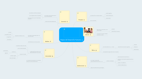 Mind Map: Etapas del Desarrollo Humano