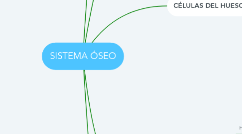 Mind Map: SISTEMA ÓSEO