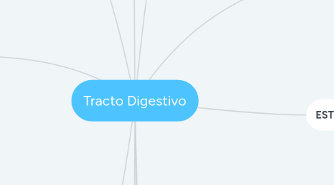 Mind Map: Tracto Digestivo