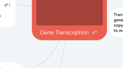 Mind Map: Gene Transcription
