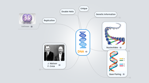 Mind Map: DNA