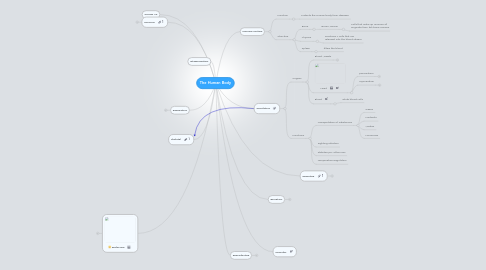 Mind Map: The Human Body