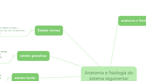 Mind Map: Anatomia e fisiologia do sistema tegumentar
