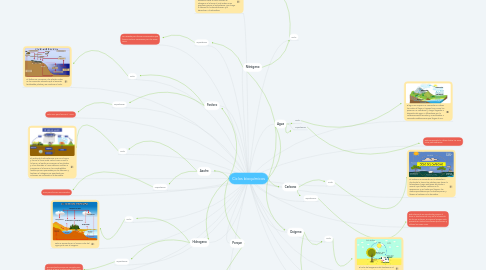 Mind Map: Ciclos bioquímicos
