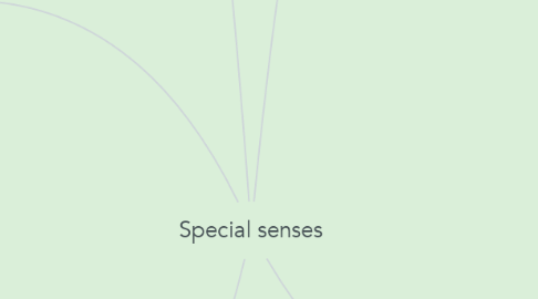 Mind Map: Special senses