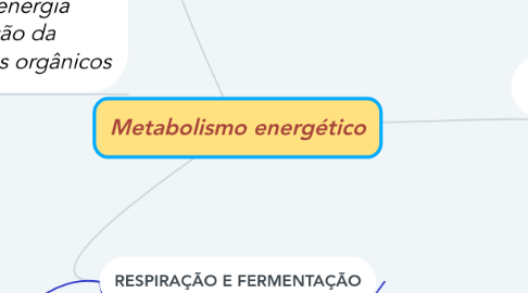 Mind Map: Metabolismo energético