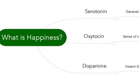 Mind Map: What is Happiness?