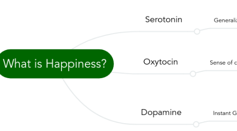 Mind Map: What is Happiness?