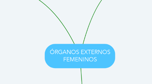 Mind Map: ÓRGANOS EXTERNOS FEMENINOS