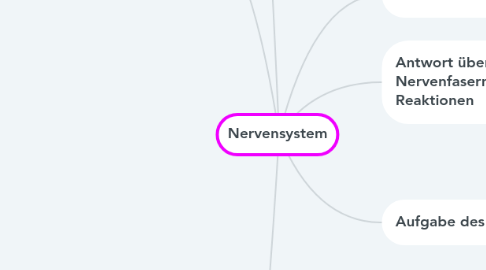 Mind Map: Nervensystem