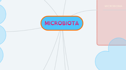 Mind Map: MICROBIOTA