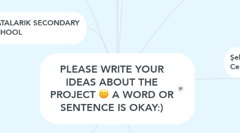 Mind Map: PLEASE WRITE YOUR IDEAS ABOUT THE PROJECT :) A WORD OR SENTENCE IS OKAY:)